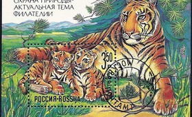 Троих хабаровчан поймали при продаже туши тигра