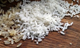 Россия запретила экспорт риса и кормовых добавок