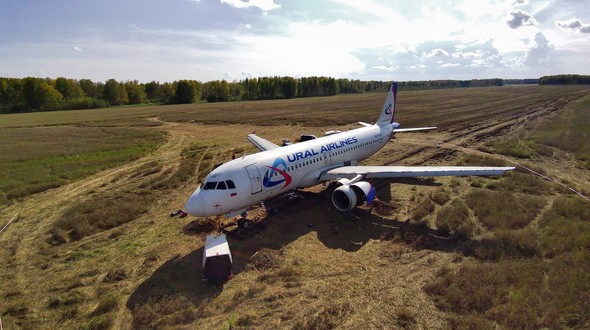Вокруг севшего в поле самолёта «Уральских авиалиний» выставили охрану