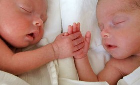 «Огромная разница в IQ»: учёные сравнили интеллект близнецов, разлучённых в детстве 