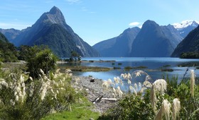 Министр туризма Новой Зеландии выступил против бюджетных путешественников
