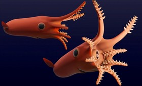 Учёные создали 3D-модель вымершего кальмара-вампира